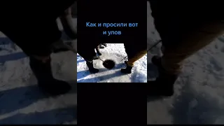 Прикол Ну вот и улов!🐟смотреть всем рыбакам!