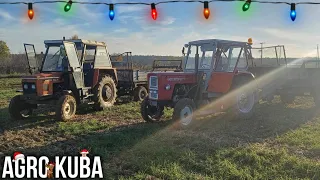 ❄️ZIMOWE Rozrzucanie Obornika🌱 Na 2x zestawy🔥2x Ursus & Zetor🔥Vlog📷