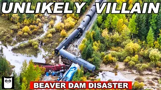 Death By Beaver | Canadian Train Derailment,  2018 | Short Documentary