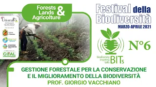 Gestione forestale per la conservazione e il miglioramento della biodiversità (Prof. Vacchiano)