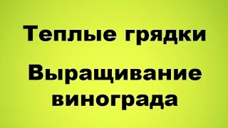 Природное земледелие - Теплые грядки. Виноград на севере.