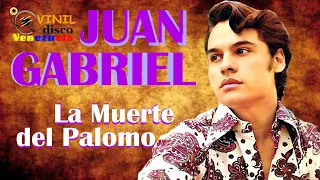 Juan Gabriel || La Muerte del Palomo || 1981 #juangabriel #envivo #venezuela #musicamexicana