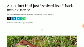 An extinct Bird just evolved itself back into existence