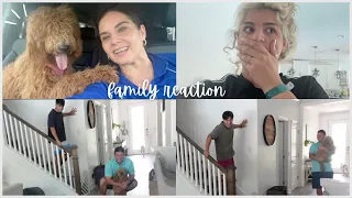 Family reaction to Kiara's new haircut .vlog#975