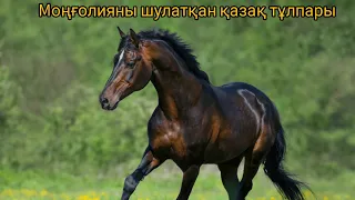 Қызыл ат пен Шабдардың бәйгесі