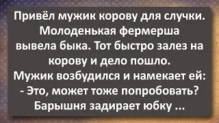 Молоденькая Фермерша Приподняла Юбку перед Мужиком! Сборник Самых Свежих Анекдотов!