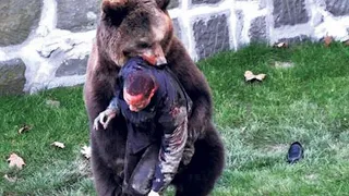 8 SCARY Bear Encounters That'll Make You SCREAM!