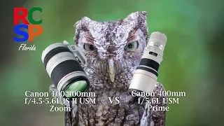 Canon 400mm Prime vs 100-400mm Zoom