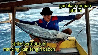 SAMPAI PANAS TANGAN STRIKE BERTUBI-TUBI MANCING IKAN TENGIRI BABON