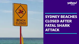 Sydney beaches closed after fatal shark attack | Yahoo Australia