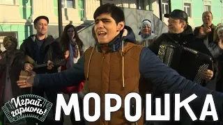 Играй, гармонь! | Зафер Оруджев (Мурманская область) | Морошка