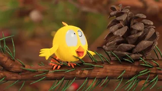 Na floresta | Onde está Chicky? | Pintinha amarelinho | Coleção desenhos animados Infantil