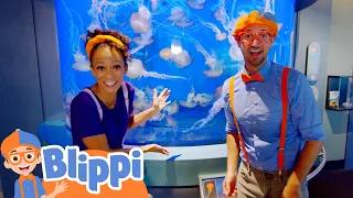 Blippi Explores The Aquarium of The Pacific | Fun and Educational Videos for Kids