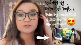 REDOING MY BETTA FISH TANKS & SWITCHING AROUND ALL OF MY BETTAS!! | ItsAnnaLouise