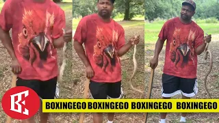 (WTF!!) COUNTRY BOY ROY JONES JR NOT AFRAID OF SNAKES!! YALL MUSTVE FORGOT!