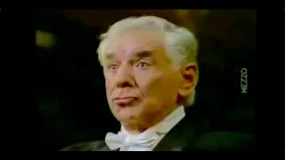 Leonard Bernstein out of context 3