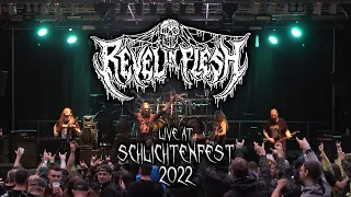 Revel in Flesh - Live at Schlichtenfest 2022