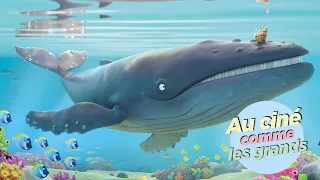 La Baleine et l’Escargote - Bande-annonce