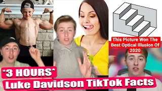 *3 HOURS* Of Luke Davidson TikTok Facts - Ultimate Luke Davidson All TikTok Facts 2023