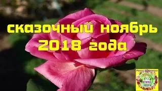 Сказочный ноябрь 2018 года