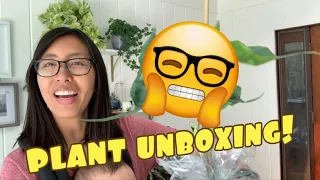 ETSY PLANT UNBOXING | Alocasia Stingray