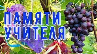 ПАМЯТИ УЧИТЕЛЯ 01.09.02023