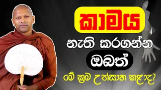 කාමය නැති කරන්න ඔබත් මේ ක්‍රම උත්සාහ කළාද | Ven. Handapangoda Nivathapa Himi