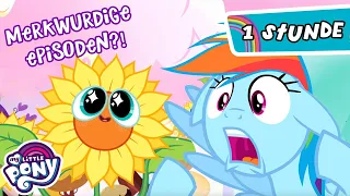 My Little Pony Deutsch 🦄 Freundschaft ist Magie: Die seltsamsten Episoden! | MLP 2 STUNDEN