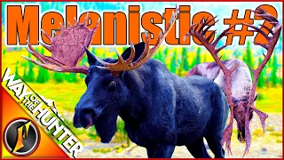 Taking Our 2nd MELANISTIC Alaska Moose! + More 5 Star Trophies!