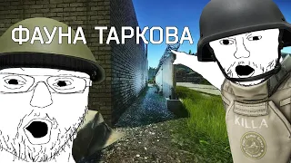 ФАУНА ТАРКОВА