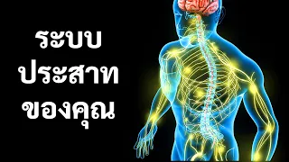 เรื่องราวเกี่ยวกับระบบประสาทของคุณ