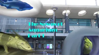 The Newport Aquarium Part 1