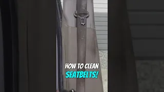 How To Clean DIRTY Seatbelts!