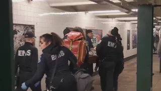 Man shot to death on Bronx subway: NYPD