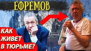 Михаил Ефремов - сколько зарабатывает и как живет?