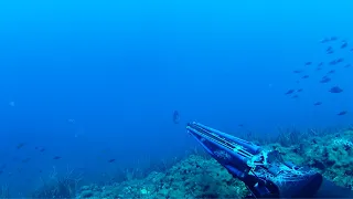 We found many fish - Spearfishing in Spring time! | Spearfishing the Aegean 🇬🇷 ✔