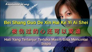 Sun Lu 孫露 - Bei Shang Guo De Xin Hai Ke Yi Ai Shei 被傷過的心還可以愛誰