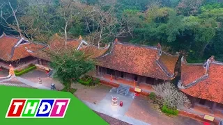 Khám phá di tích lịch sử Lam Kinh - dấu tích còn lại và giá trị vĩnh hằng | THDT