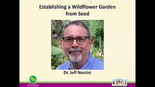 Establishing a Wildflower Garden from Seed