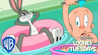Looney Tunes in Italiano 🇮🇹 | Coniglietto da piscina! 🐰 | WB Kids