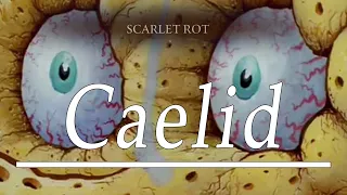 Spongebob And Patrick Go To Caelid - Elden Ring