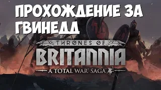 Total War Saga: Thrones of Britannia - Проходим Кампанию за Гвинедд #1