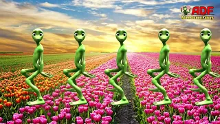 ALIEN DANCE IN THE FLOWER GARDEN VS Dame Tu Cosita vs ll Alien Dance Funny