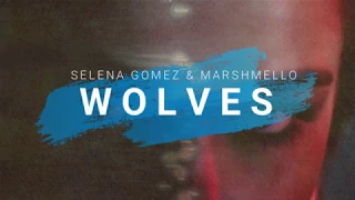 Wolves (LYRICS) - Selena Gomez & Marshmello (Live @ AMAs)