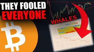 THESE BITCOIN WHALES JUST DID THE UNTHINKABLE!