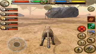 Cheetah Simulator 3D Wild Life In Savanna, Ultimate Savanna Simulator