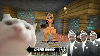 Coffin Meme but Cat is Vibing Part 8 - Minecraft