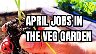 Best Planting Guide: April Tasks for Your Veg Garden || What to plant in your Garden in April 2024