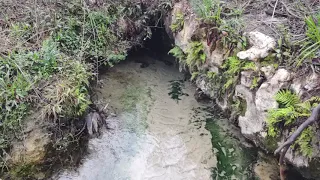 Gainer Spring, Econfina