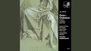 Oster-Oratorium, BWV 249: 3. Chorus "Kommt, eilet und laufet"
